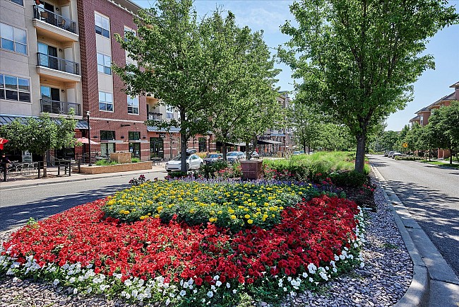 Updated Townhome at Vallagio